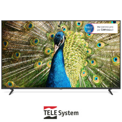 Smart TV 55" 4K UHD DVB-T2/S2 HEVC VIDAA HDR10 HLG - TELE System TS55FL4KSMV14