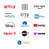 Netflix, Disney+, Prime Video, DAZN, Paramount, Rai Play Timvision, Youtube, tivùsat