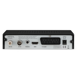 Antenna terrestre, antenna satellitare, presa audio coassiale, HDMI, SCART.